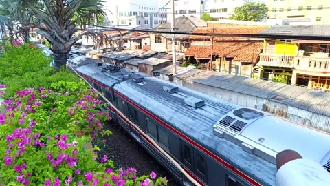 Train Crossing Video stock 246336596