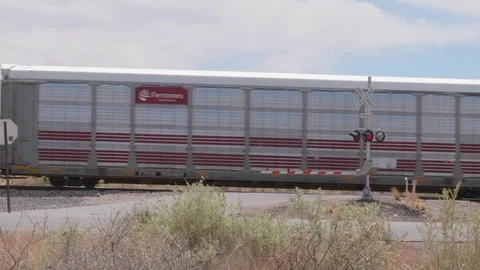Train Crossing Gaurds Going Up Stock Footage 93008800
