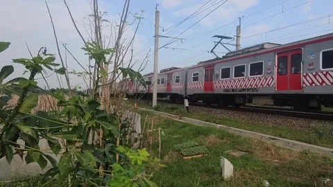 A train is crossing the green rice fields Video stock 240449602
