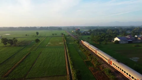Train Crossing Lush Rice Fields in Morning Light - Aerial View Stock-Footage 312080902