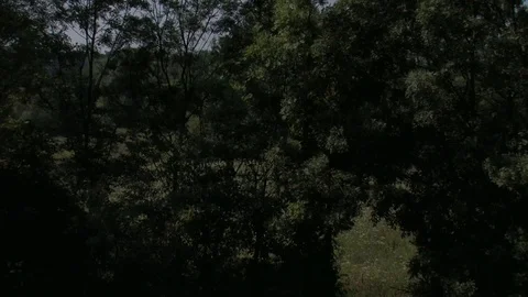 Train crossing wild landscape Stock Footage 93962185