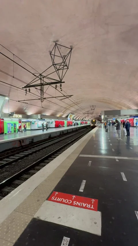 Train to disneyland paris 2 Stock Footage 306352040