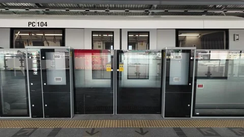 The train doors are closing Stock Footage 264724273