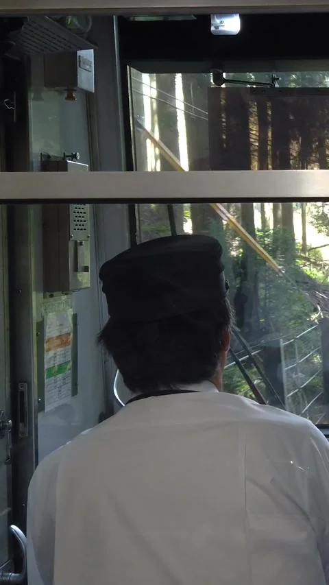 Train Driver POV on Scenic Forest Railway Near Kyoto, Japan Vertical Mobile View Stock Footage 336665045