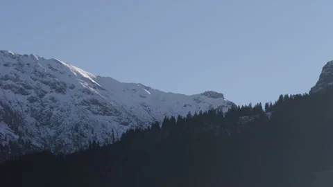 Train driving in front of forest and mountains Stock Footage 229126291