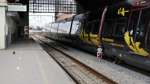 Train from DSB company. Stock Footage 230941454