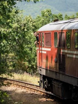 Train engineer looking out of train window driving through forest Foto stock