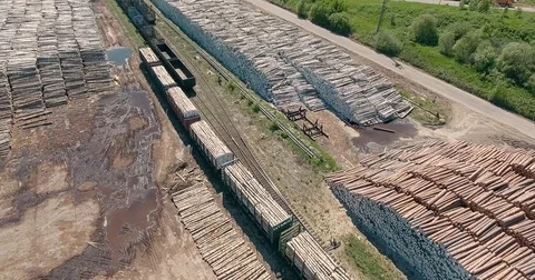 A train with felled trees Stock Footage 74787596