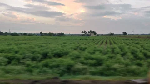 Train field running train Stock Footage 162465207