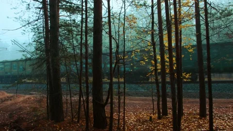 Train in the fog. Stock Footage 141210642