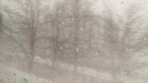 On the train Stock Footage 127557805