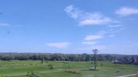 IN THE TRAIN Stock Footage 198243915