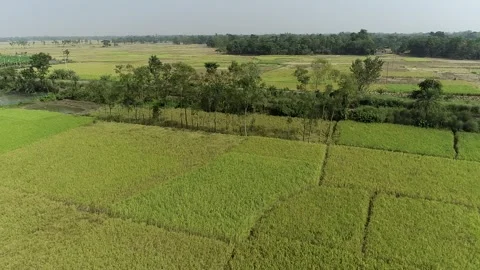 The Train. Stock Footage 277932959