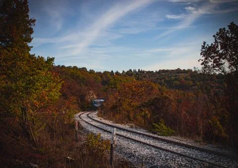 Train in forest at autumn Stockfoto's