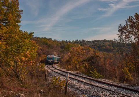 Train in forest at autumn Stockfoto's