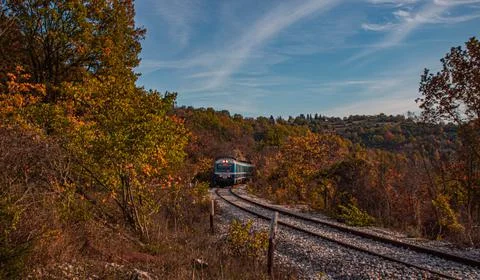 Train in forest at autumn Stockfoto's