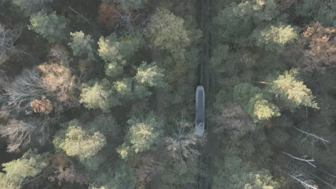 Train in the forest, drone overhead shot. 스톡 동영상 162636767