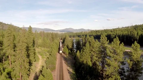 Train in forest by dwking Video stock 81412918