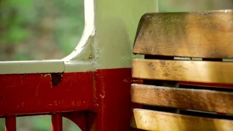 On train forest Stock Footage 75203102