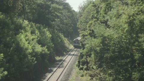 Train in the forest Stock Footage 136959333