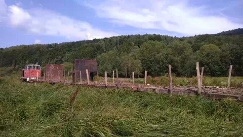 Train in the Forest Stock Footage 300370698