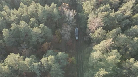 Train in the forest, railway. Drone overhead shot. 스톡 동영상 162782684