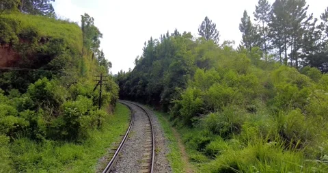 Train front road 4 part 1 Stock Footage 270372915