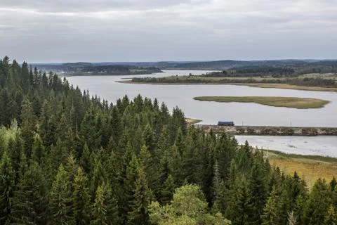 The train goes to the forest by rail Stock Photos