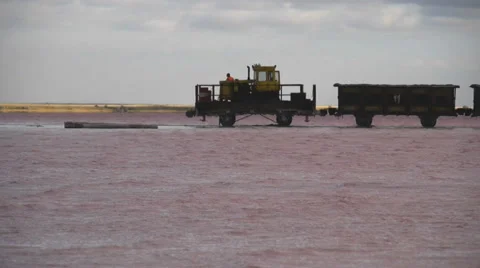 The train goes by rail through pink lake Stock-Footage 54934039