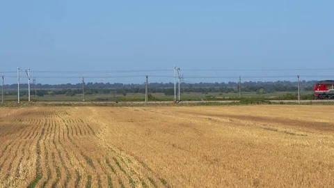 A train is going along the yellow field Stock Footage 101577603