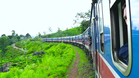 Train Going Through Beautiful Tea Plantations at Highlands of Sri Lanka. Stock Footage 248116294