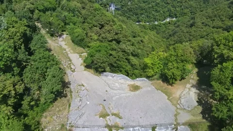 A train going through a forest 库存影片 156847036