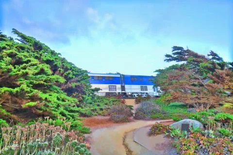 Train going through The Forest Stock Photos