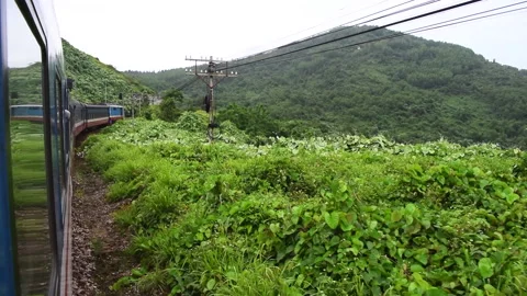 Train going through the jungle with mountains in Southeast Asia Stock Footage 144909779