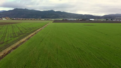 Train Going Through the Skagit Valley in Washington State. Stock Footage 145377848
