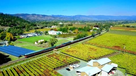Train Going Through Vineyards of Napa by Aerial Drone Stock-Footage 87520294