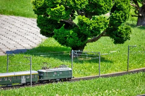 Train in the green scenery Foto stock