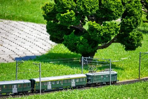 Train in the green scenery Foto stock