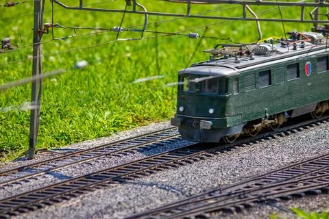 Train in the green scenery Foto stock