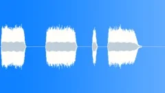 TRAIN, HORN Sound Effect