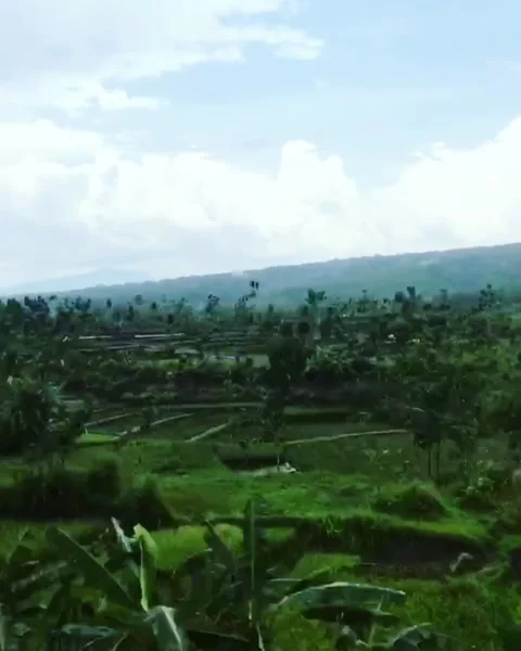 Train to Jogja Stock Footage 225896463