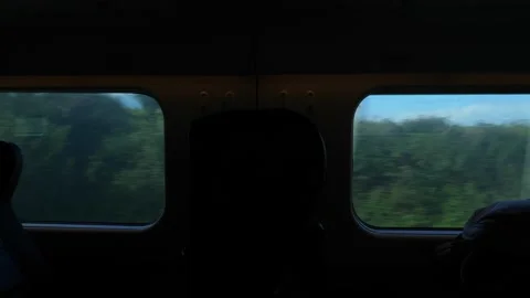 Train Journey Offering Scenic Views and Enchanting Landscapes to Discover. Stock Footage 305459785
