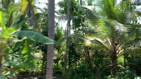 Train  journey in Sri Lanka Stockbeeldmateriaal 182126327