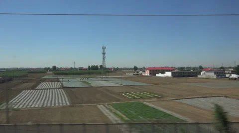 Train Journey through China, view over rice fields and agricultural landscape Stock Footage 63823118