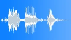 Train Jr Regional Aomori Sound Effect