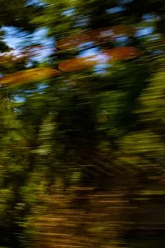Train Lights Reflected on Blur of Trees 2 Stock Photos