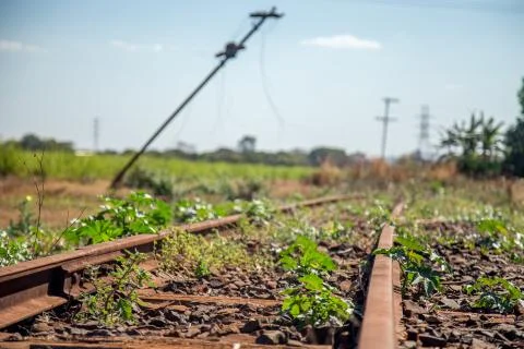 Train line Stock Photos