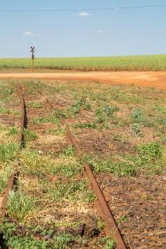 Train line Stock Photos