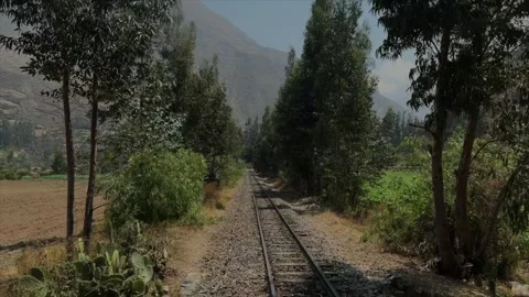 Train-to-Machu-Picchu Stock Footage 303100231