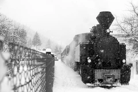 Train in maramures forest, winter time Stock Photos